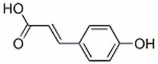 对羟基肉桂酸,分析标准品,HPLC≥98%