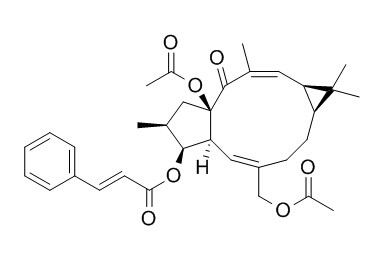 大戟因子L7a,分析标准品,HPLC≥95%