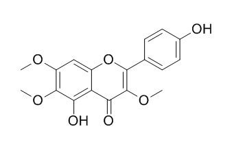 Penduletin,分析标准品,HPLC≥95%