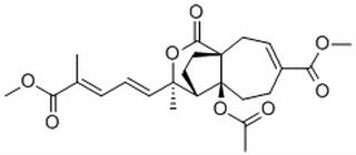 Methyl pseudolarate B,分析标准品,HPLC≥98%