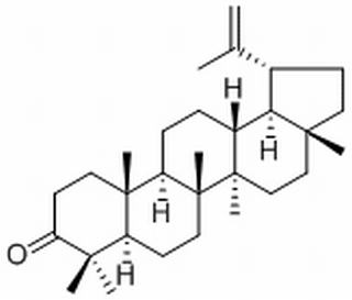 羽扇烯酮,分析标准品,≥98%