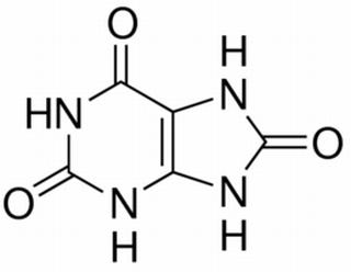 尿酸,分析标准品,HPLC≥98%
