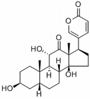 沙蟾毒精,分析标准品,HPLC≥98%