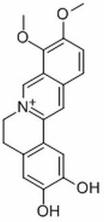 去亚甲基小檗碱,分析标准品,HPLC≥96%