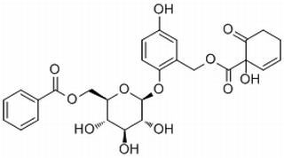 Homaloside D,分析标准品,HPLC≥98%