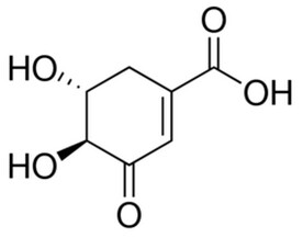 3-脱氢莽草酸,分析标准品,HPLC≥95%