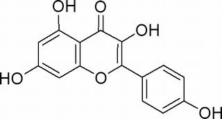山奈酚,分析标准品,HPLC≥98%