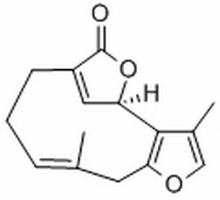 钓樟内酯,分析标准品,HPLC≥98%