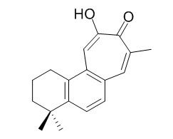 鼠尾草酚酮,分析标准品,HPLC≥95%