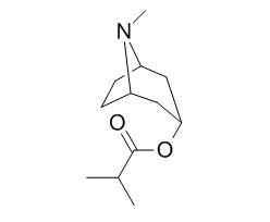 托品醇异丁酯,分析标准品,HPLC≥95%