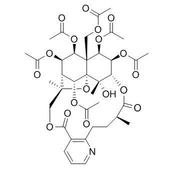 雷公藤新碱,分析标准品,HPLC≥95%