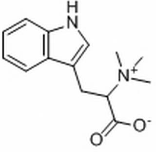 刺桐碱,分析标准品,HPLC≥98%