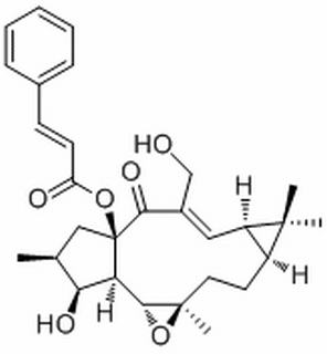 Jolkinol A,分析标准品,HPLC≥98%