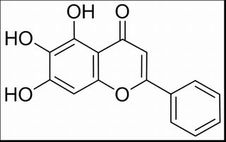 黄芩素,分析标准品,HPLC≥98%