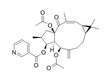 大戟因子L8,分析标准品,HPLC≥95%