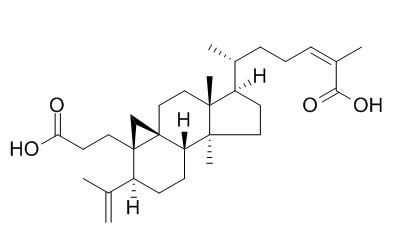 Nigranoic acid,分析标准品,HPLC≥95%