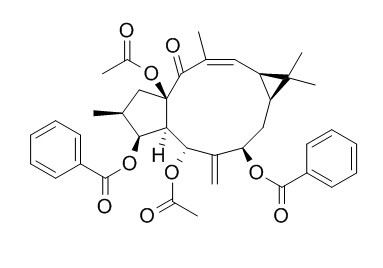 大戟因子L2，分析标准品,HPLC≥95%