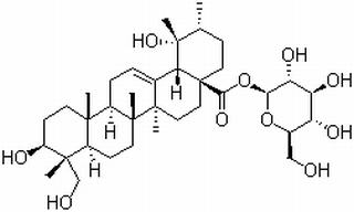 具栖冬青苷,分析标准品,HPLC≥98%