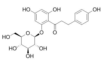 根皮苷,分析标准品,HPLC≥98%
