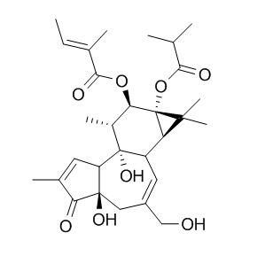 伏波酯-12-惕各酸酯-13-异丁酸酯,分析标准品,HPLC≥98%