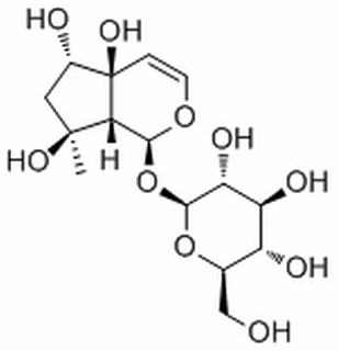 6-Epiharpagide,分析标准品,HPLC≥98%