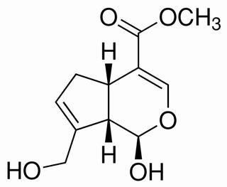京尼平,分析标准品,HPLC≥98%