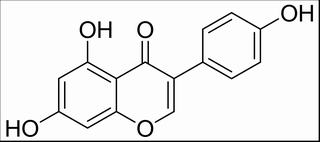 染料木素,分析标准品,HPLC≥98%