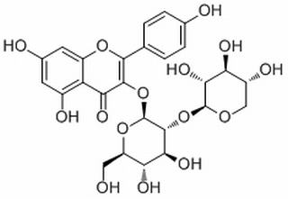 山奈酚3-O-桑布双糖苷,分析标准品,HPLC≥98%