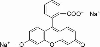 荧光素钠,分析标准品,HPLC≥90%