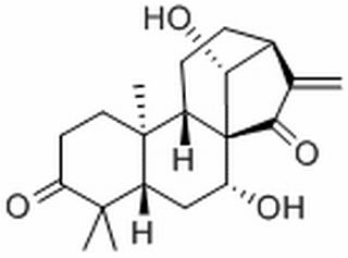蓝萼甲素,分析标准品,HPLC≥98%