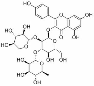 山茶甙B,分析标准品,HPLC≥98%