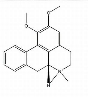 N-甲基荷叶碱,分析标准品,HPLC≥98%