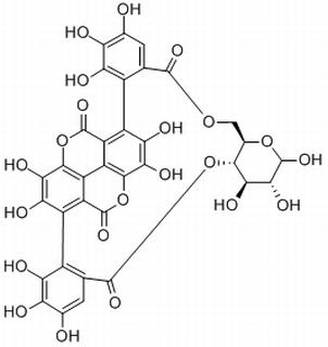 石榴皮鞣素,分析标准品,HPLC≥98%
