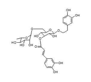 连翘酯苷I,分析标准品,HPLC≥95%