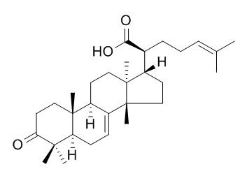 3-氧代甘遂-7,24-二烯-21-酸,分析标准品,HPLC≥95%
