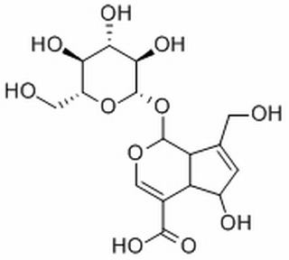 去乙酰车叶草苷酸,分析标准品,HPLC≥98%