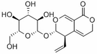 龙胆苦苷,分析标准品,HPLC≥98%