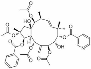 Jatrophane 5,分析标准品,HPLC≥98%