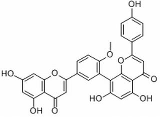 白果双黄酮，分析标准品,HPLC≥95%