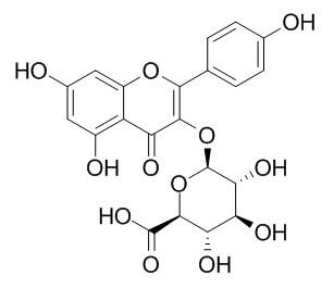山奈酚葡萄糖醛酸苷,分析标准品,HPLC≥98%