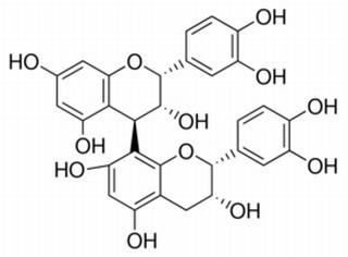 原花青素B2,分析标准品,HPLC≥98%