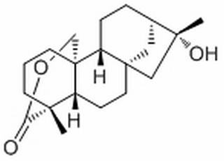 雷公藤福定,分析标准品,HPLC≥98%