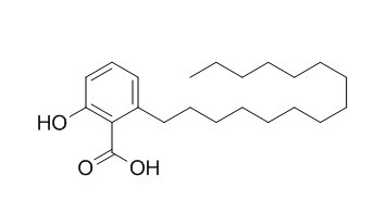 银杏酸C15:0，分析标准品,HPLC≥98%