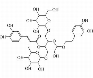 松果菊苷,分析标准品,HPLC≥98%