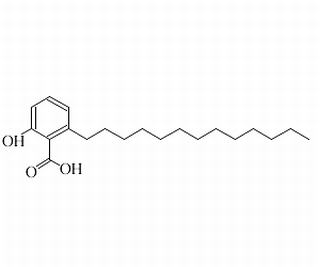 白果新酸(银杏酸C13:0),分析标准品,HPLC≥98%