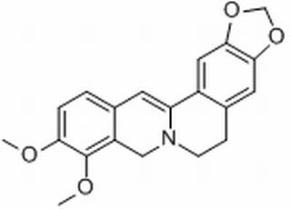 二氢小檗碱,分析标准品,HPLC≥98%