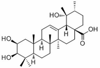 2-Epitormentic acid,分析标准品,HPLC≥98%
