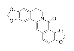 8-氧黄连碱,分析标准品,HPLC≥98%