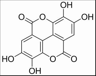 鞣花酸,分析标准品,HPLC≥98%