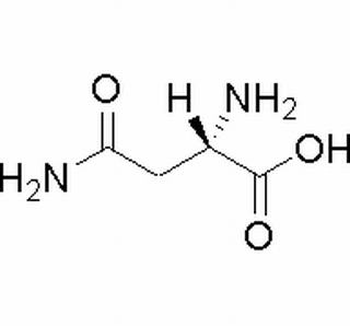 L-天冬酰胺,分析标准品,HPLC≥98%